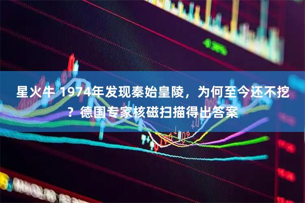 星火牛 1974年发现秦始皇陵，为何至今还不挖？德国专家核磁扫描得出答案